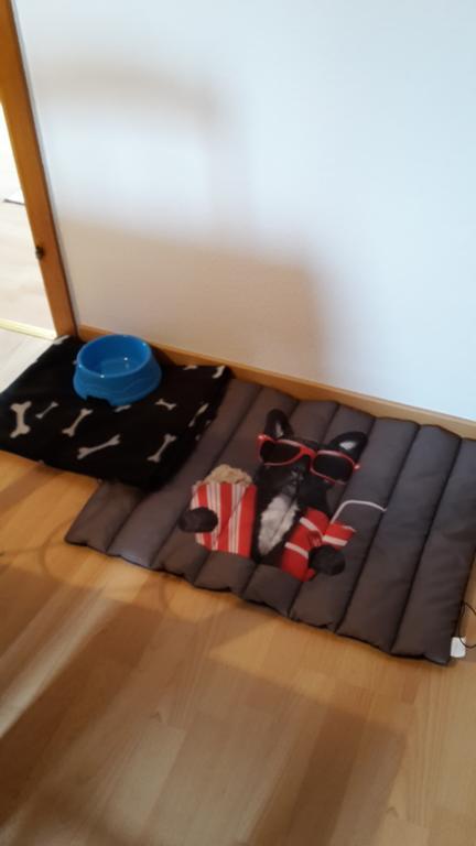Apartment Lulu Ауріх Екстер'єр фото